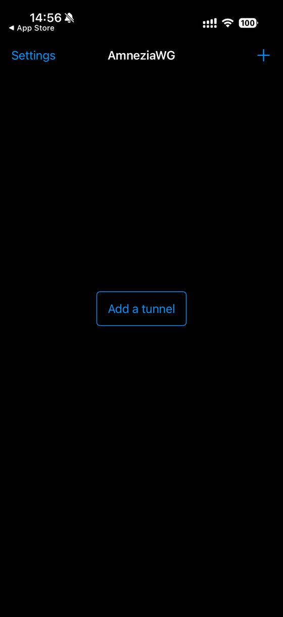 Пустое приложение с кнопкой Add a tunnel